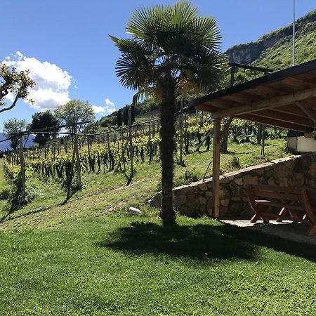 Weifnerhof Villa Tramin an der Weinstraße Buitenkant foto